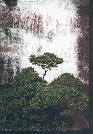 waterfal